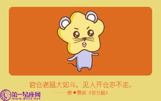 今日运势：鼠人今日穿衣运势女性（鼠人穿衣女性）